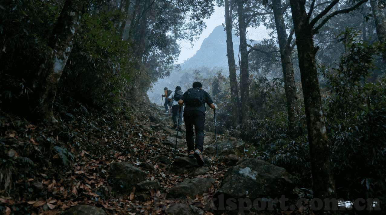 放学别跑九游版下载安装-放学别跑！校园速战速决，九游版等你加入